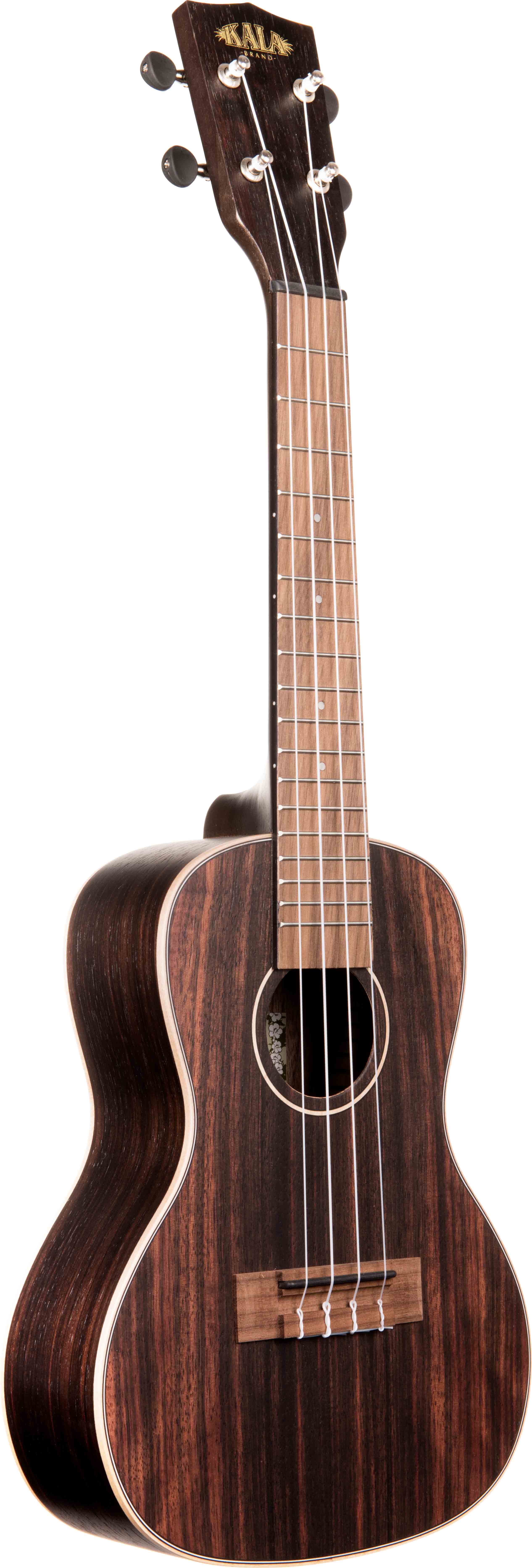 Kala KA-EBY-C Striped Ebony Concert Ukulele w/ Hard Case