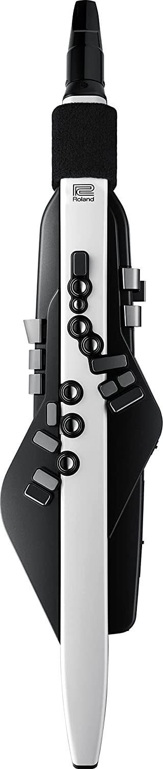 Roland AE-20 Aerophone Digital Wind Instrument - Matte Black and White