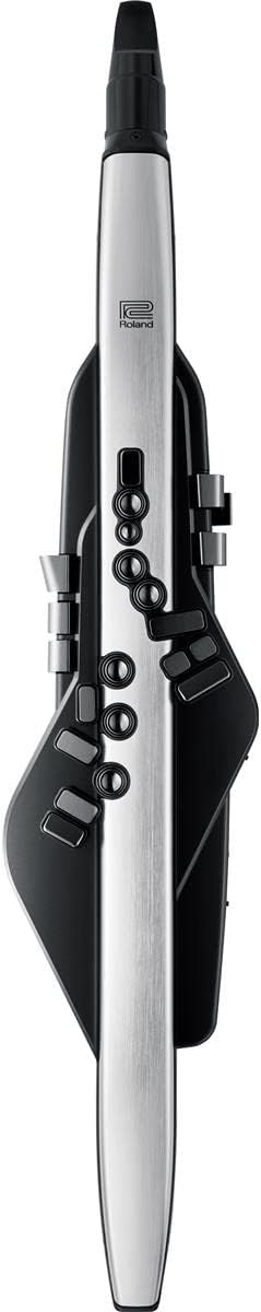 Roland AE-30 Aerophone Pro Digital Wind Instrument for sale online | eBay